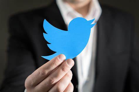 2023Twitter正在授权登录不了(Twitter登录不上去正在授权 )-梦马网络